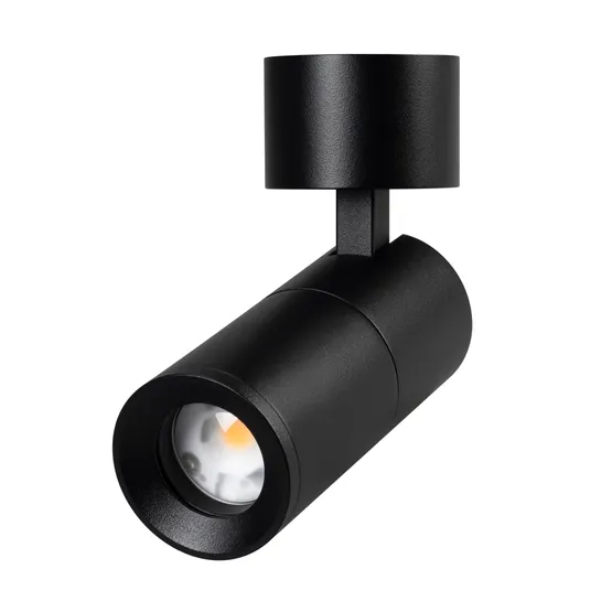 Фото #1 товара Светильник SP-ARTEMIS-SURFACE-FLAP-R55-12W Warm3000 (BK, 8-80 deg, 230V) (Arlight, IP20 Металл, 5 лет)