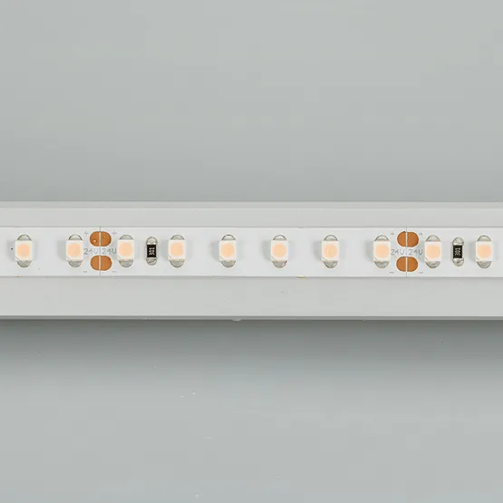 Фото #3 товара Светодиодная лента RT 2-5000 24V White6000 2x (3528, 600 LED, LUX) (Arlight, 9.6 Вт/м, IP20)