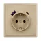 Минифото #3 товара Механизм розетки с USB зарядкой SCT-NOBE-MUAC-SFPL-GD (230V, 16A) (Arlight, Золотой песок)