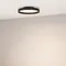 Минифото #4 товара Светильник SP-ESTELY-R350-30W Warm3300-MIX (BK, 80 deg, 230V, TRIAC) (Arlight, IP20 Металл, 5 лет)